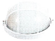 BOLL ICE 60W WHITE BULAT