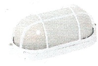 BOLL ICE 100W WHITE OVAL