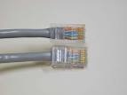 CABLE DATA CAT 5