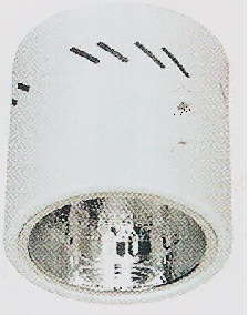 DL-E04005 WH E27